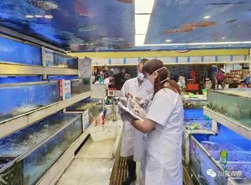 6月15日川觀早點來了